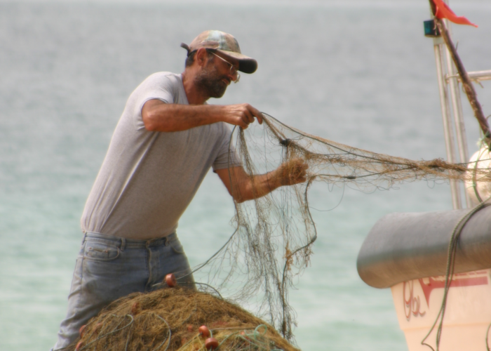 Pescaria com rede