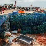 Stacks of blue lobster traps and orange ropes on a sandy beach. In the background, people walk near wooden huts and scattered boats under a cloudy sky.